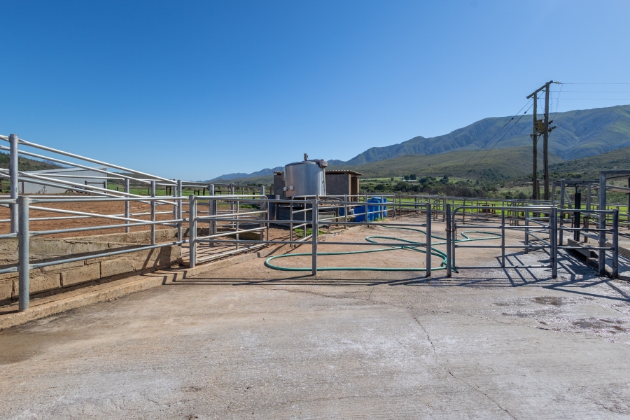 0 Bedroom Property for Sale in Kareedouw Eastern Cape